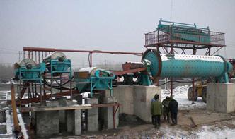 small scale gold mineral processing washers tanzania